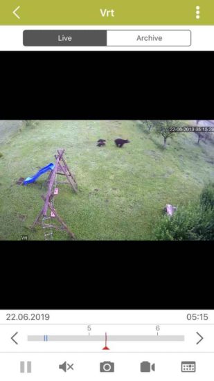 FOTO: To je posnetek medvedke, ki je zjutraj napadla, ni bila sama