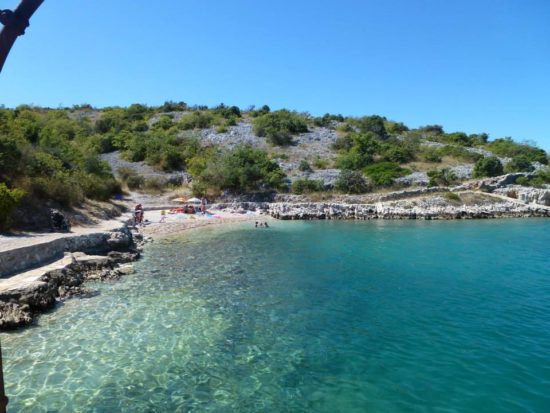 VIDEO: V Jadranskem morju se hitro širi ognjena neprijetnost, ki žre morske zvezde in ogroža kopalce