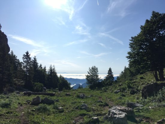 Prihaja “sončno in vroče” vreme, napovedujejo pri Arsu