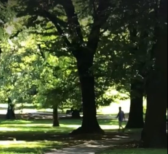 VIDEO: Mamice, ki hodite v park, pozor! »Po izgledu bi rekla, da je narkoman«