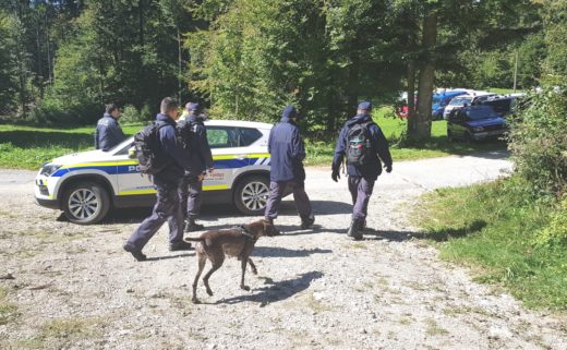 Iskanje deklice: izgubila se je med igro v okolici počitniške hišice