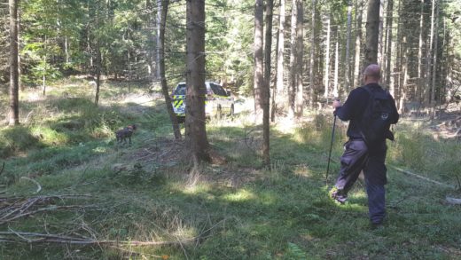 Božiča ni dočakal doma, še zdaj poteka iskalna akcija