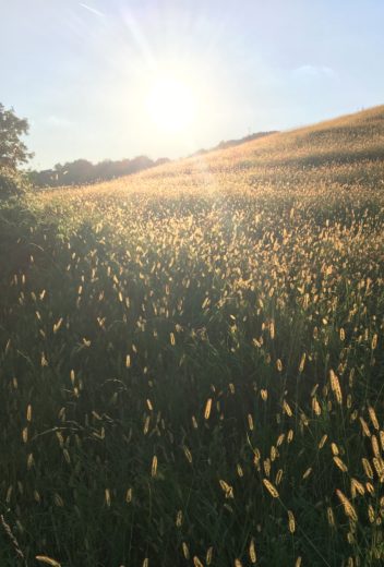 Vremensko čudovit jesenski konec tedna: dnevne temperature na 20, celo 23 °C