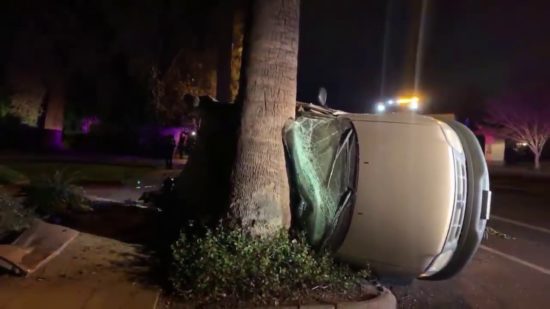 Norela z avtom, treščila v drevo! Notri je imela otroka stara 9 in 11 let