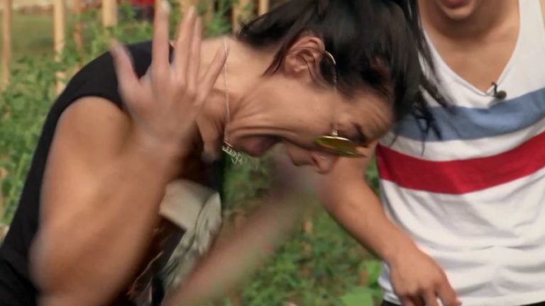 Po fačuziju se je na Kmetiji zgodila še večja blamaža