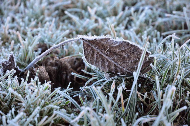 Jutra prinašajo slano, megla ali nizka oblačnost se lahko zadržita ves dan