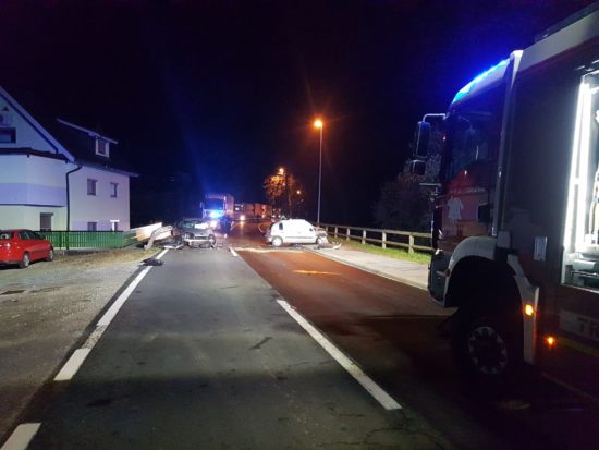 Ponoči v ograjo, skupila sta jo dva