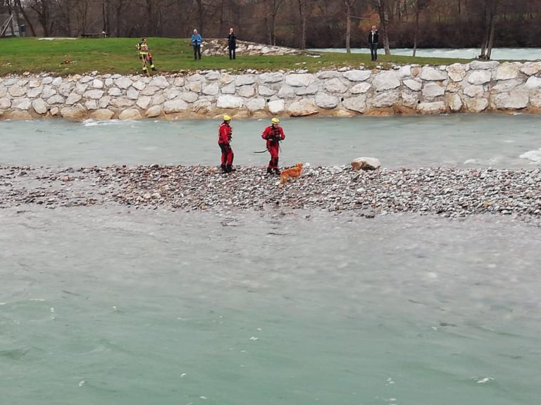 FOTO: Z otoka reševali psa