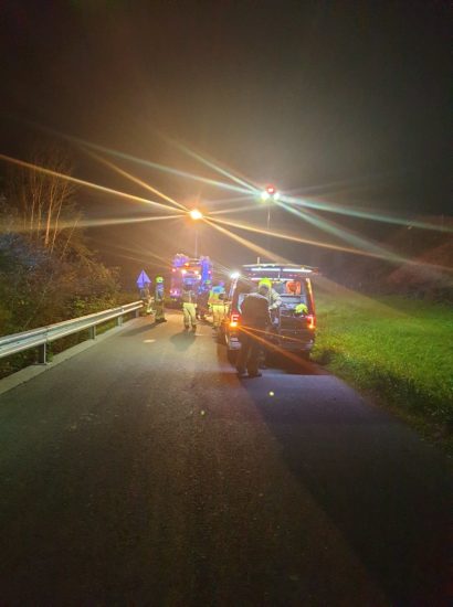 Težave na cesti: Na avto padlo drevo