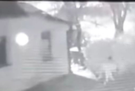 VIDEO: Ilegalca ujela nadzorna kamera, spolno je napadel psa