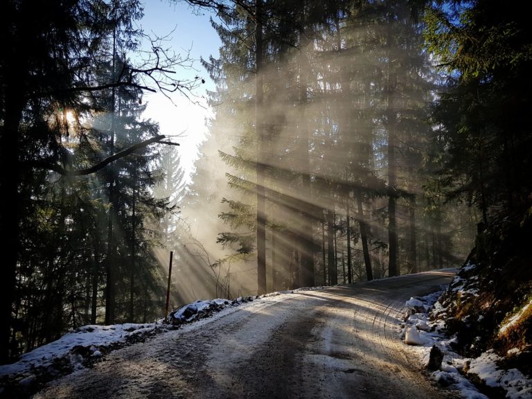 Po zdrsu s ceste vozilo obviselo nad strmim pobočjem