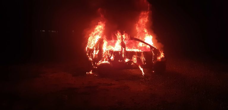 Zagorelo v Rožni dolini