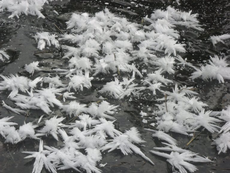 Strašna nesreča: Ko so prišli gasilci, sta bili osebi v vodi podhlajeni