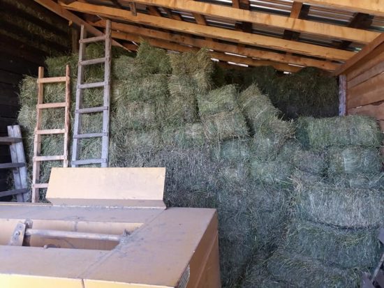 Pod seboj jo je pokopala bala sena, reševali so jo s pomočjo helikopterja Slovenske vojske