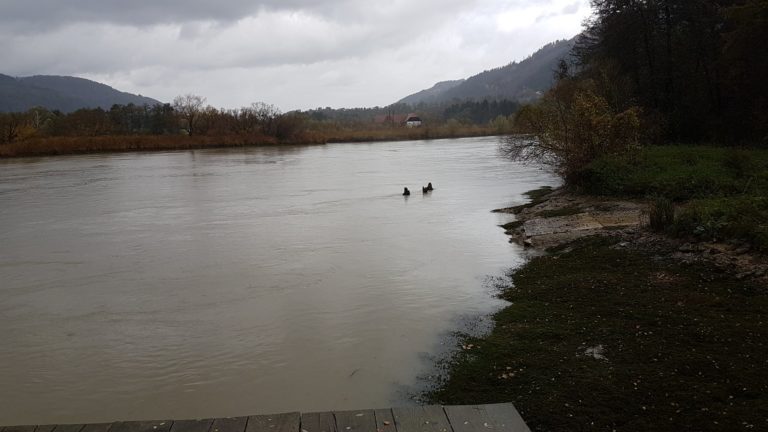 V kanalu iščejo človeka
