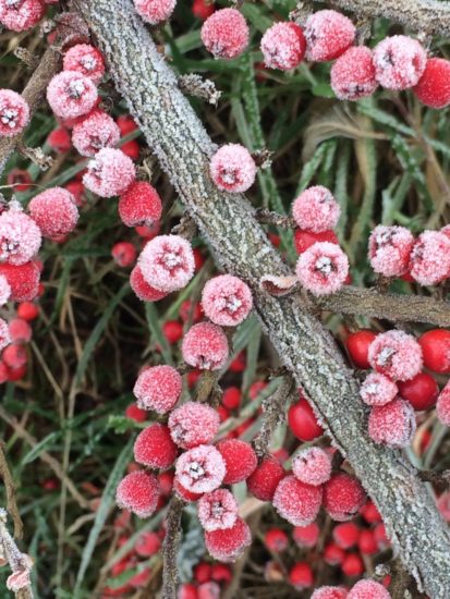 Pred nami je mrzel dan, Arso napoveduje: Najvišje dnevne temperature bodo od 3 do 7°C