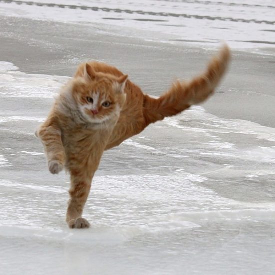 Zaskrbljujoča nova vremenska napoved: “Ponekod je možen obsežen vetrolom! ⚠️”