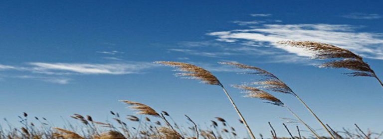 Najhuje šele prihaja: Vrhunec bo veter dosegel v prihodnjih urah in čez dan