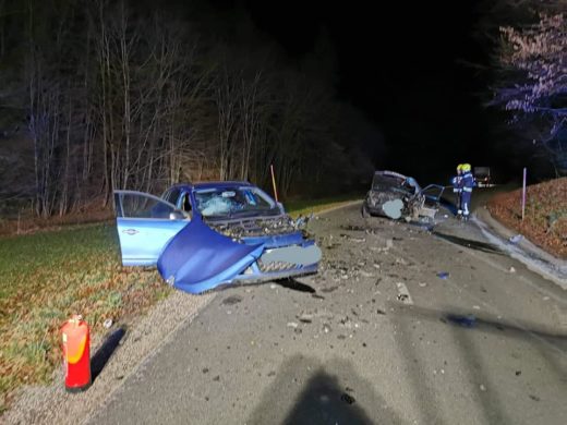 FOTO: Zvečer počilo na lokalni cesti