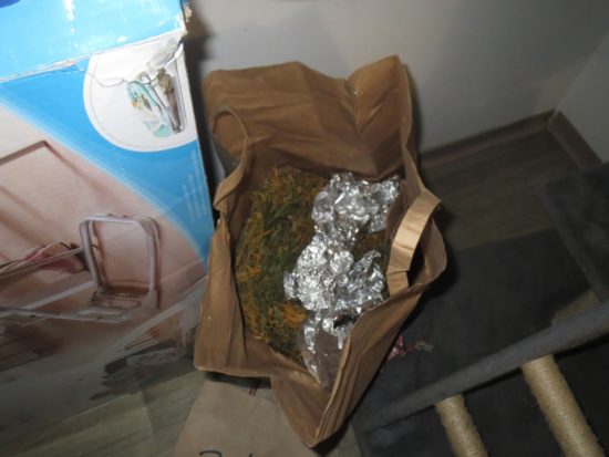 FOTO: Ste videli, kaj je Velenjčan (33) gojil v vrtni hiši