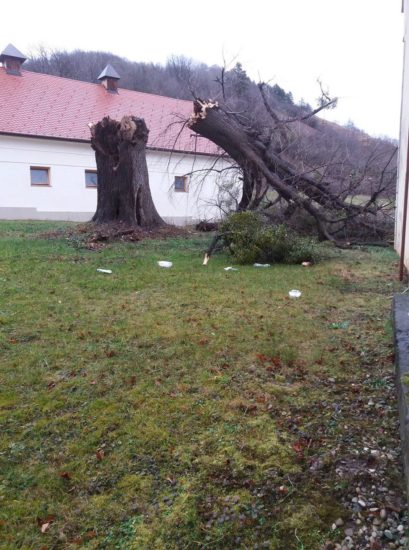 FOTO: Rušilni veter ruval drevesa, jih metal na električne vodnike, tako je uničil znano lepotico