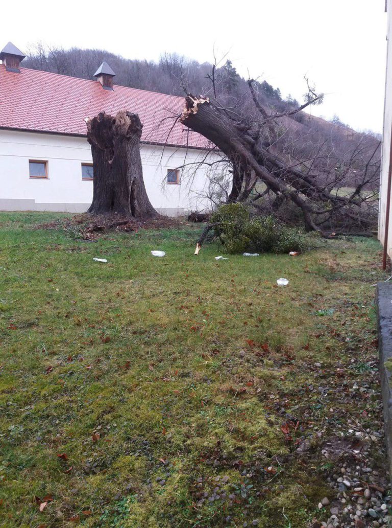 FOTO: Rušilni veter ruval drevesa, jih metal na električne vodnike, tako je uničil znano lepotico