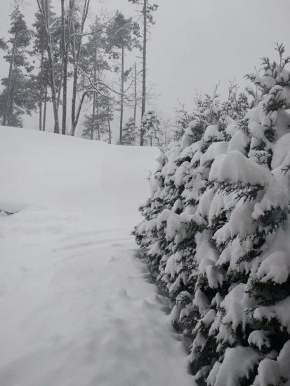 Namesto pomladi Slovenija v belem. Jutri lahko pričakujemo še več snega