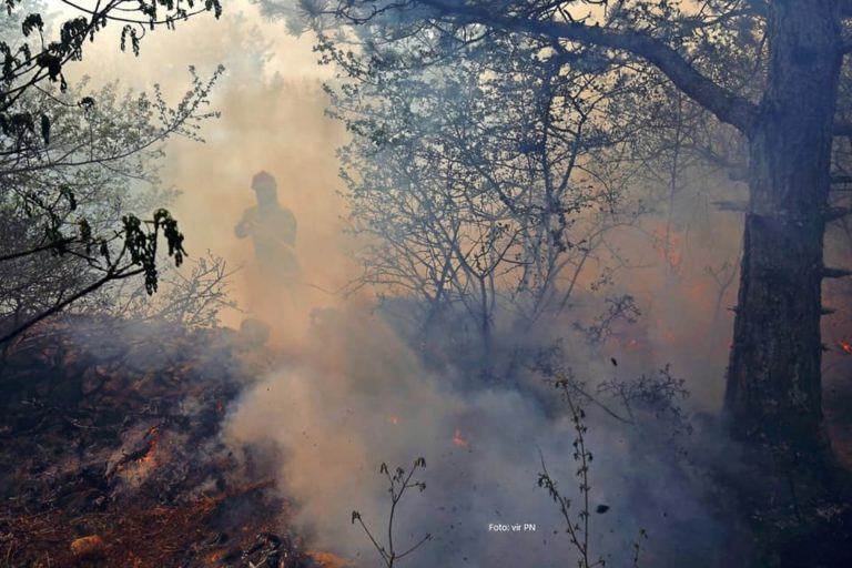 FOTO: Požar neslutenih razsežnosti! Gasilci na delu vso noč, zjutraj jih je zamenjalo novih sto