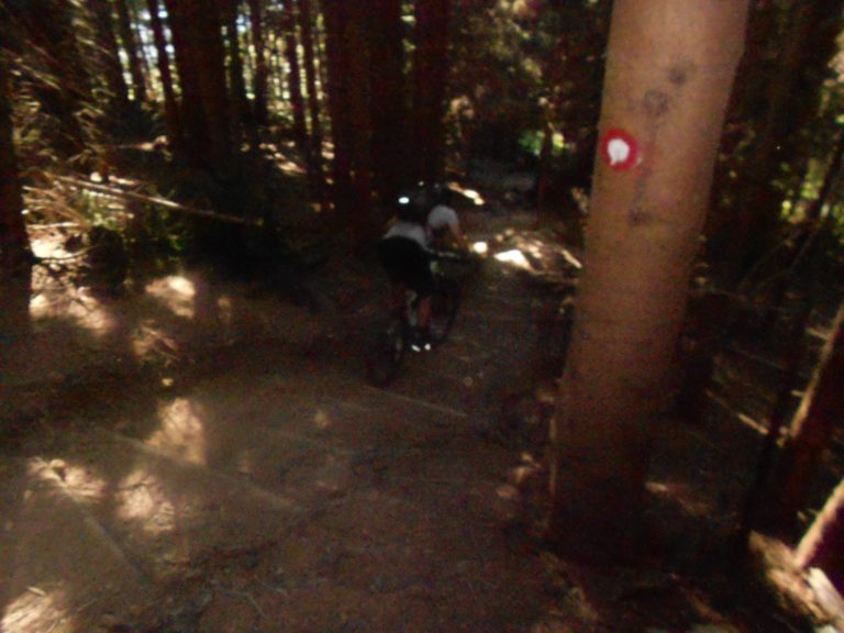 Popoldne sta se ponesrečila dva kolesarja