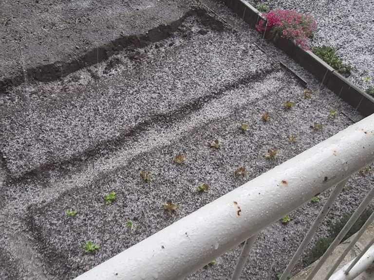 FOTO: Nedeljski nalivi so prinesli tudi tako belino