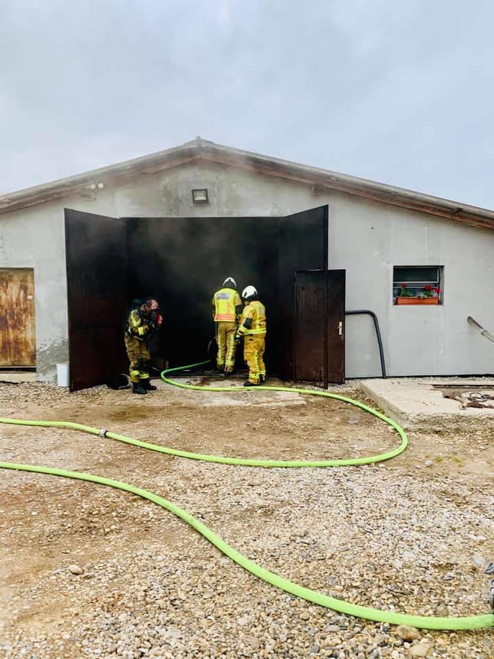 FOTO: Grozljivi prizori, zgorela perutninska farma z več tisoč piščanci
