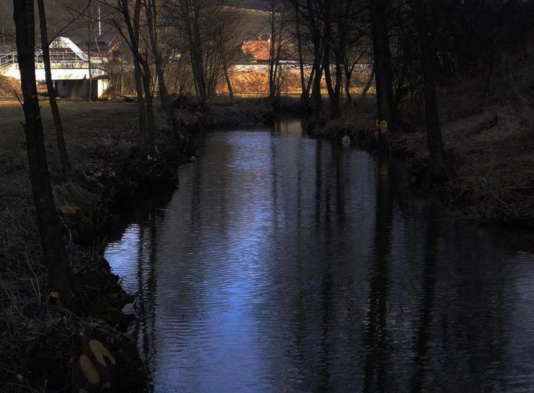 Pod večer v reki opazili večje število poginjenih rib