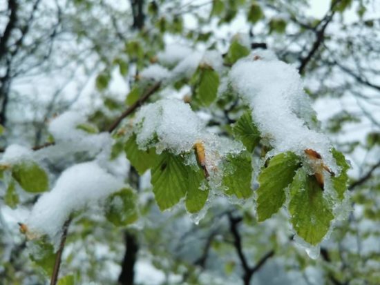 Vreme v Sloveniji: Včeraj so nastali posnetki pobeljene narave, jutri naj bi se temperature približale 30 °C