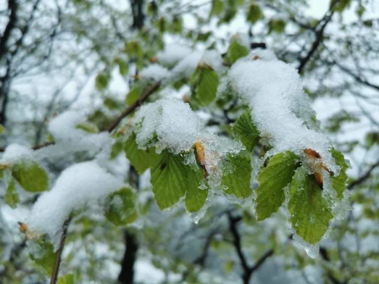 Vreme v Sloveniji: Včeraj so nastali posnetki pobeljene narave, jutri naj bi se temperature približale 30 °C