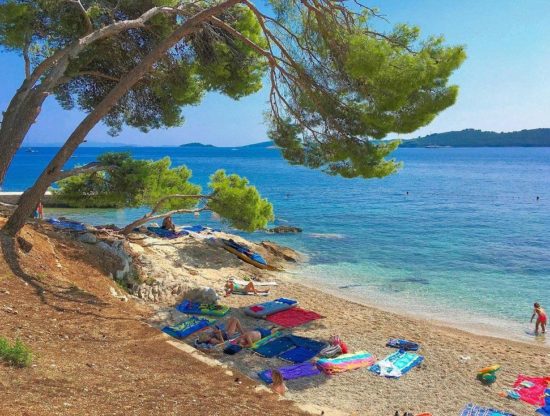 VIDEO: V morju pri znani plaži v Dubrovniku morski pes, šlo naj bi za vrsto, ki redko napade ljudi