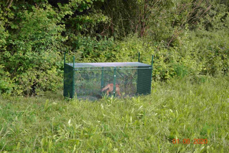 FOTO: Ujela se je v past, nameravala sta jo ustreliti! Na srečo so prišli policisti