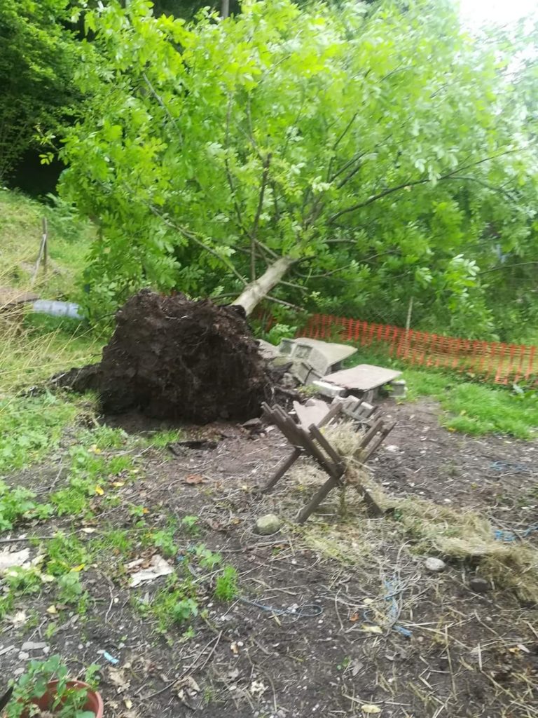 Podrtih na desetine dreves, odkrivalo strehe domov in streho šole