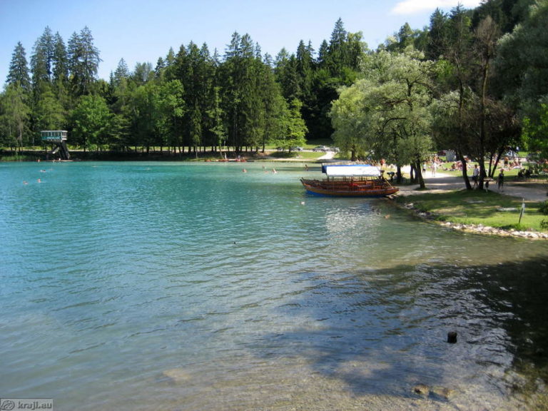 Uf, kaj so odkrili pri Blejskem jezeru! »Pustite ga pri miru, umaknite se in prosimo pokličite 112 ali 113«