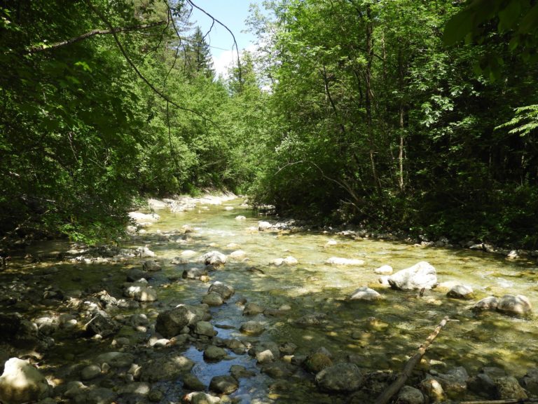 Huda nesreča v Iškem vintgarju: Ponesrečenca v helikopter dvignili z vitlom