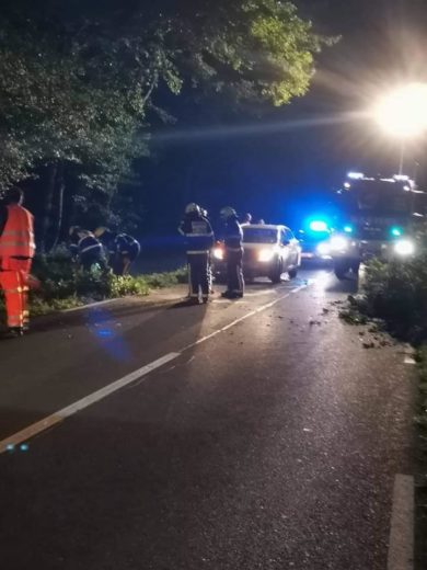 Avto v drevesu, ena oseba umrla med prevozom v bolnišnico