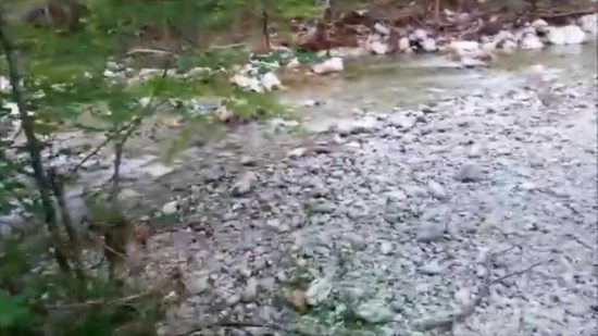 V Iškem vintgarju močno krvavel