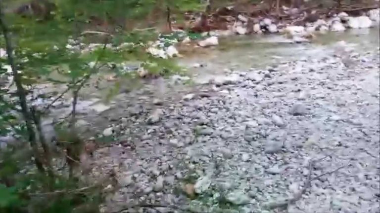 V Iškem vintgarju močno krvavel