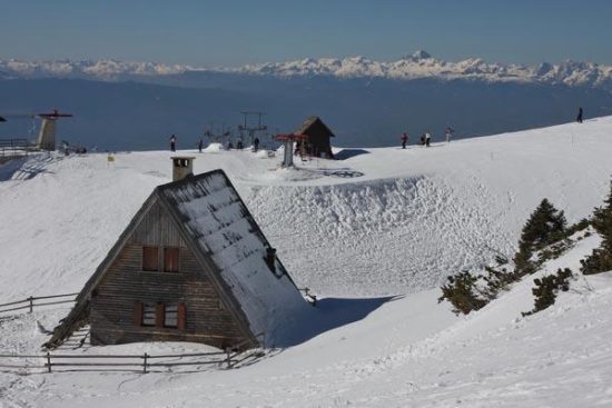 Sramota, kaj so naredili zavetišču GSR! To je njihov zapis