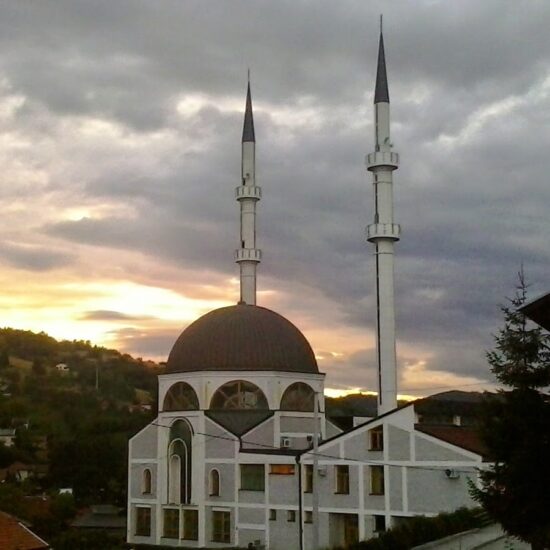 Avstrija zapira radikalne mošeje!