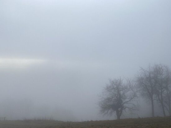 V petek oblačno, v soboto v več kot polovici države dež