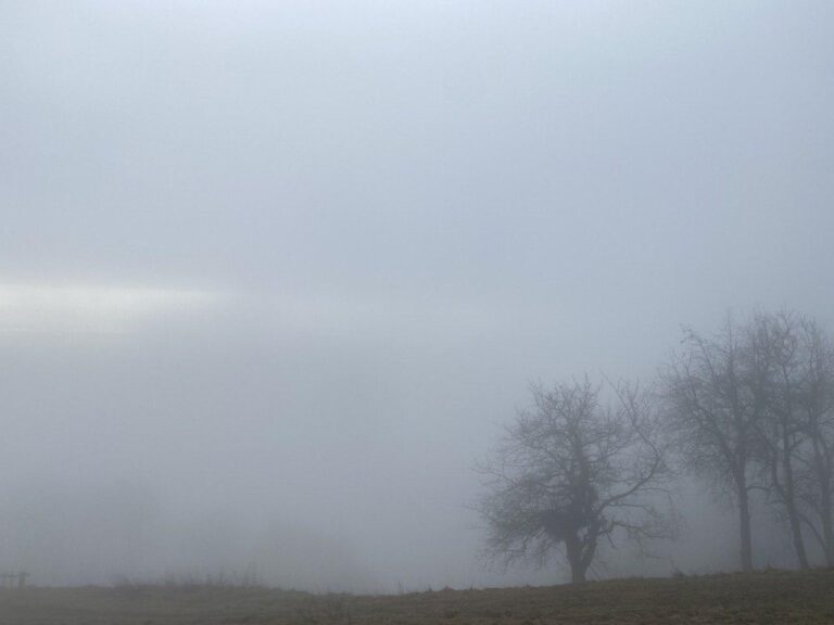 Turist iz Logarske doline izginil, truplo našli na območju Krofičke