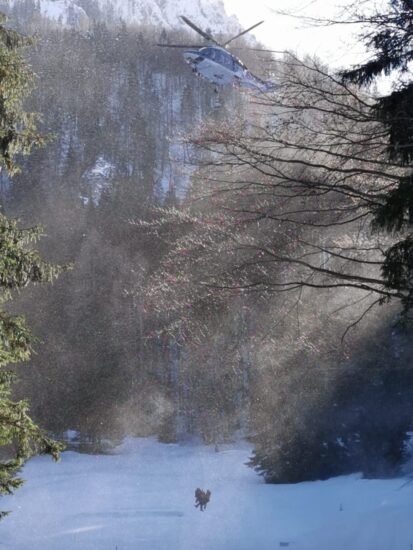 Policija razkriva: Žrtvi sobotne tragedije izkušena alpinista