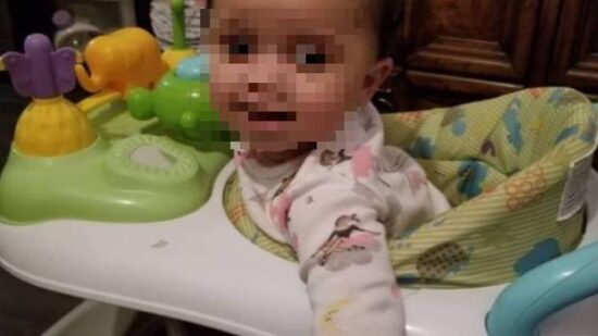 Pes ubil dojenčico, preveč se je približala posodi s hrano