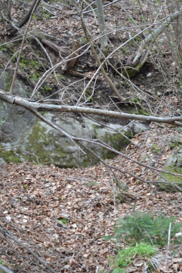 Junaško dejanje policistov! V pritličju našla moškega, ki ni kazal znakov življenja