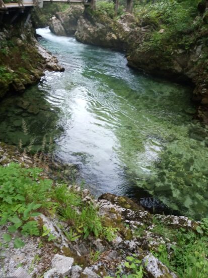 V Vintgarju iskali policisti, reševalci in psi